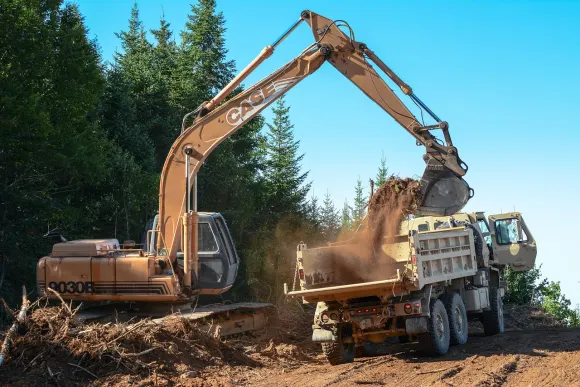 카지노 골든 크라운 지원